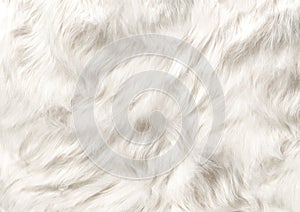DOG FUR TEXTURE SMOOTH AND SILKY