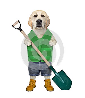 Dog with gardening shovel