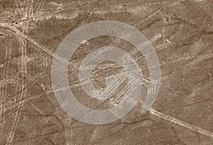 Dog geoglyph sepia colored, Nazca or Nasca lines, Peru