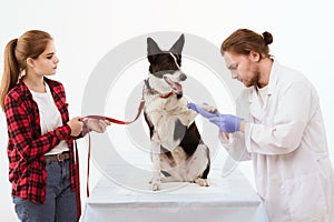 Dog getting checked at vet clinic with thir owner.