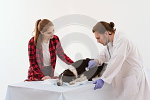 Dog getting checked at vet clinic with thir owner.