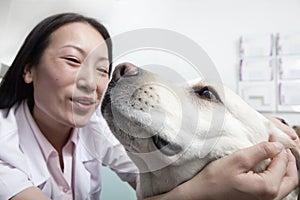 Dog getting petted in veterinarian's office,