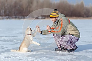 Dog gives paw