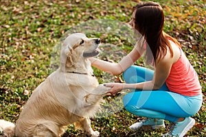 Dog gives paw to girl