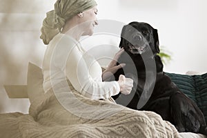 Dog giving paw sick woman