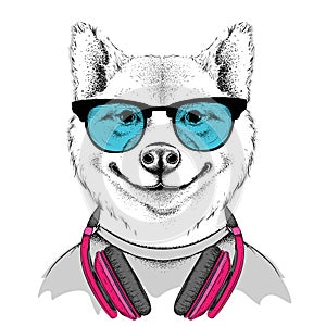 Dog in glasses and headphones. Vector illustration.