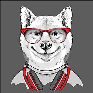 Dog in glasses and headphones. Vector illustration.