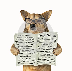 Dog in glasses reads a newspaper