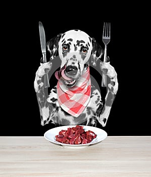Dog is going to eat meat