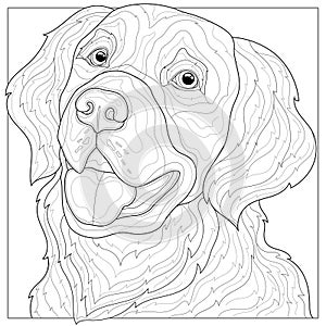 Dog.Golden Retriever.Animal.Coloring book antistress for children and adults