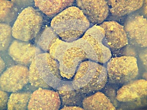 Dog granules, close up