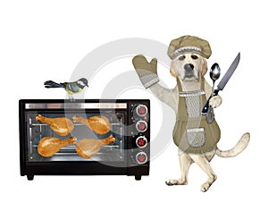 Dog in green hat cooks chicken in oven