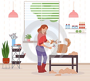 Dog Grooming Background Illustration