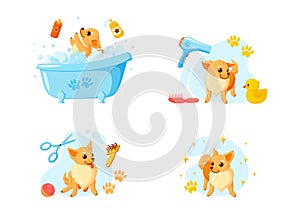 Dog grooming in a bath with pet shampoo, combs and rubber ducks. Playful chihuahua puppy in grooming service. Vector