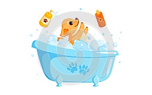 Dog grooming in a bath with pet shampoo. Playful chihuahua puppy in grooming service. Vector illustration