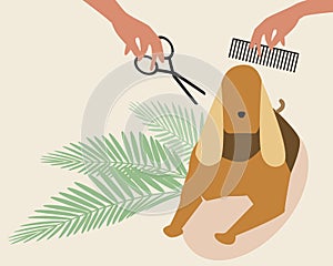 Dog grooming, copy space template, flat vector stock illustration with Cocker spaniel in grooming salon with place for text
