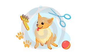 Dog grooming with haircut scissors and combs. Playful chihuahua puppy in grooming service. Vector illustration