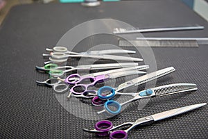 dog grooming tools and accessories set on dark background. pet care and hygienic concept.