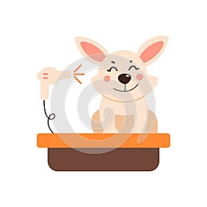 Dog grooming. Vector illustration in a simple style on a white background