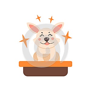 Dog grooming. Vector illustration in a simple style on a white background