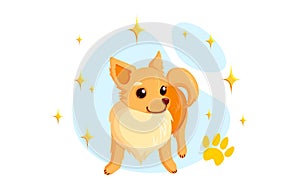 Dog grooming after washing, dryind and combing. Playful chihuahua puppy in grooming service. Vector illustration