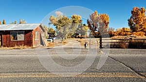 Dog guarding farmhouse property in rural Stillwater, Nevada