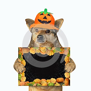 Dog with halloween blank poster