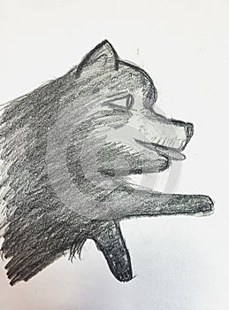 Dog hand drawn with pencil,artwork