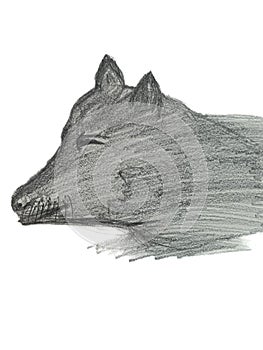 Dog hand drawn with pencil on paper,artwork design
