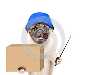 Dog in hat laborer holding a pointing stick and big package. isolated on white background