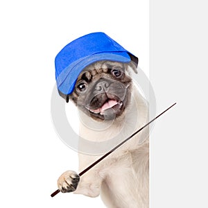 Dog in hat laborer holding a pointing stick and points on empty white banner. isolated on white background