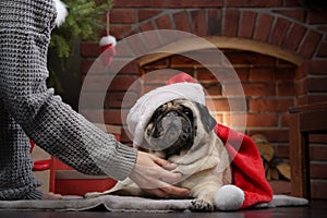 dog in a hat of Santa Claus. Pug by the fireplace in the Christmas interior.