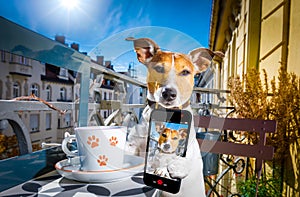 Dog having a coffee break and selfie