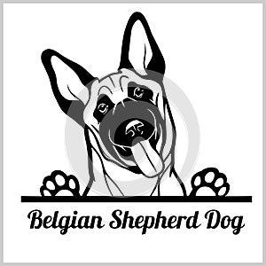 Dog head, Belgian Shepherd Dog breed, black and white illustration