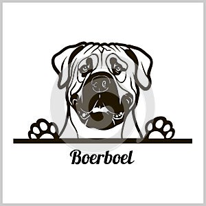 Dog head, Boerboel breed, black and white illustration