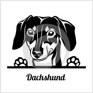 Dog head, Dachshund breed, black and white illustration