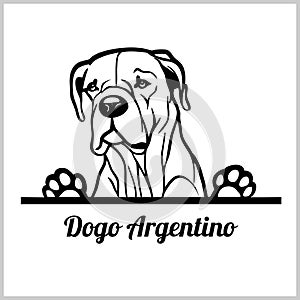 Dog head, Dogo Argentino breed, black and white illustration