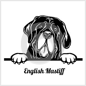 Dog head, English Mastiff breed, black and white illustration