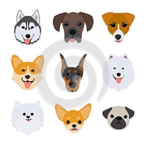 Dog head icons. Vector flat illustration isolated on white background.