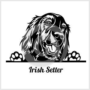 Dog head, Irish Setter breed, black and white illustration