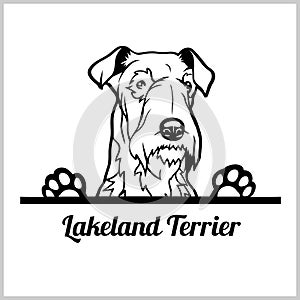 Dog head, Lakeland Terrier breed, black and white illustration