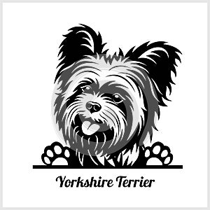 Dog head, Yorkshire Terrier breed, black and white illustration