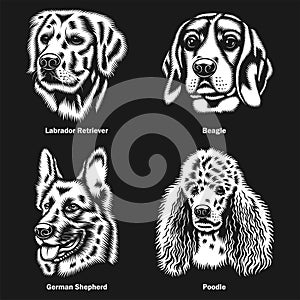 Dog Heads of different Breeds Vector Graphic On Black