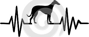 Dog heartbeat line with greyhound