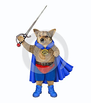 Dog hero in blue cloak with sword