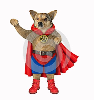 Dog hero in a red cloak
