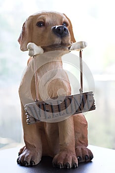 Dog holding a bone on which hangs