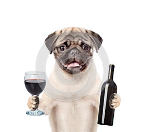 Dog holding a bottle of red wine and wineglass. isolated on white background