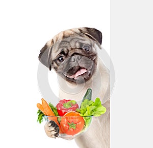 Dog holding bowl of vegetables and peeking from behind empty board. isolated on white background