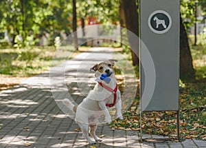 Dog holding container with poop bags next to special dog waste station in park